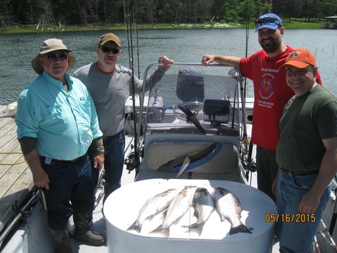 Nice Striped Bass